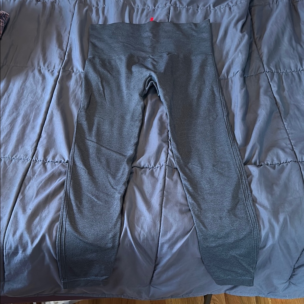 Spanx Plus Size 1X Gray Leggings Tights Pants